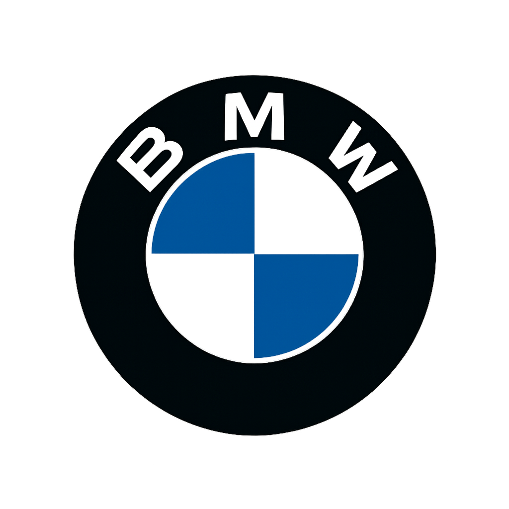 BMW software update