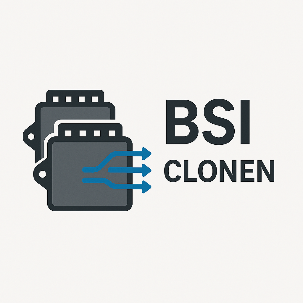 BSI